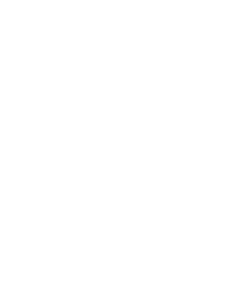 BSA Logo
