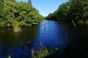 Tom Yawkey Wildlife Center Heritage Preserve